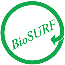 Bio Surf Logo