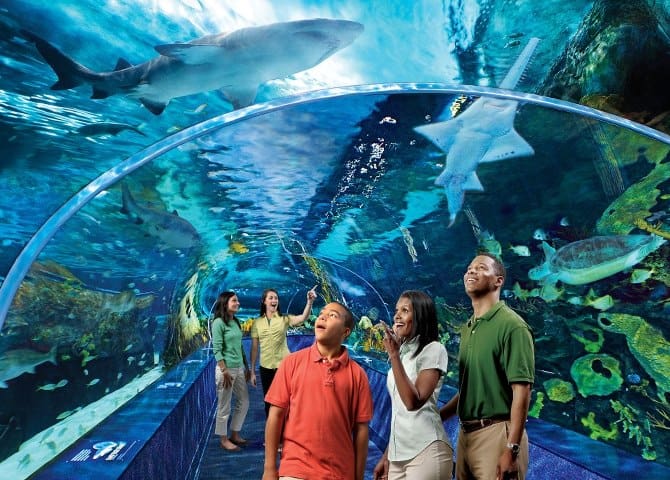 A group of people standing in front of an aquarium.